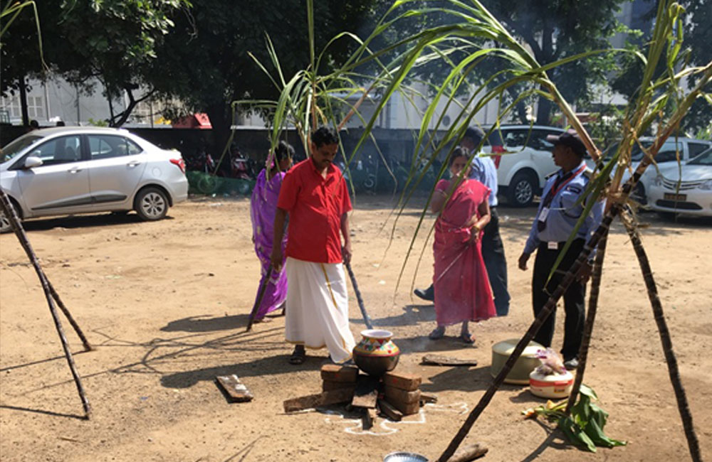 Pongal